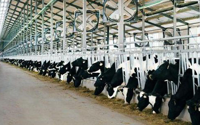 牧業(yè)行業(yè)應用